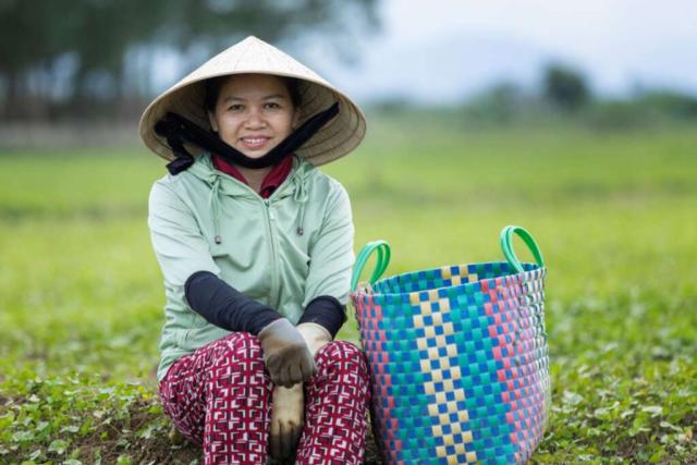 A woman farmer wearing a traditional Vietnamese hat, sitting in her field
