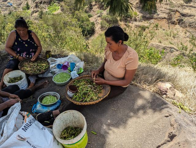 Femmes au Cabo Verde
