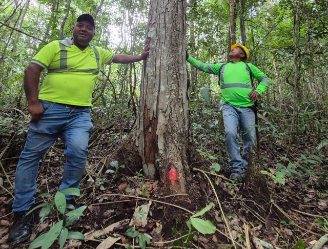 Hommes dans une forêt