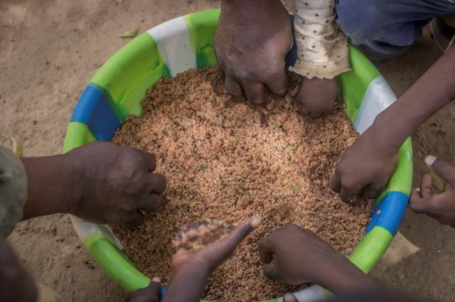 Mains plongées dans du grain