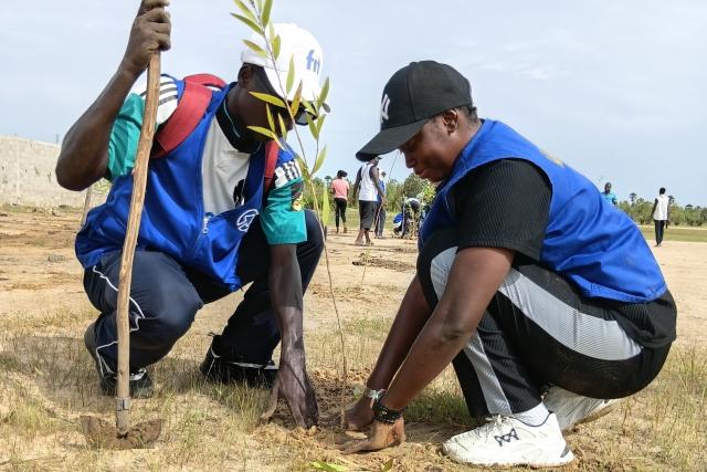 Reboisement autour du stade municipal de Fimela