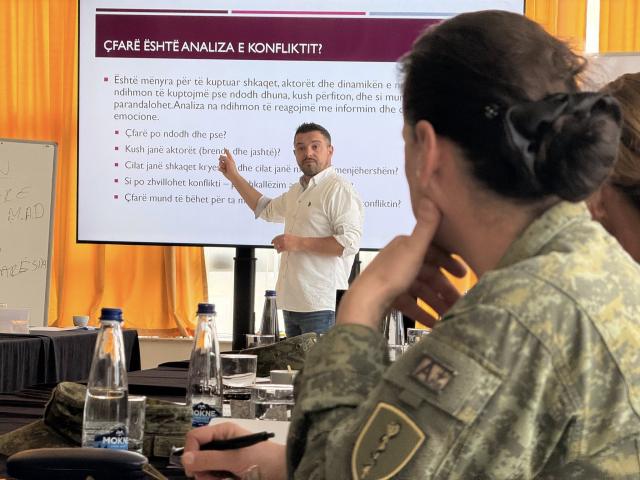 Mentor facilitating sessions during training
