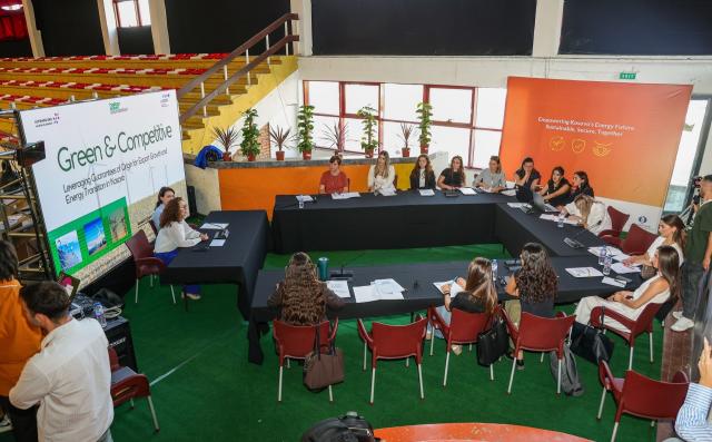 People sitting at a roundtable discussing energy