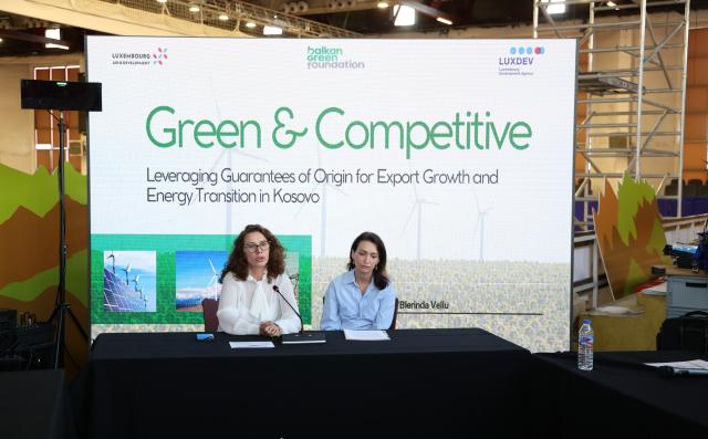 Panelists explaining the green certificate