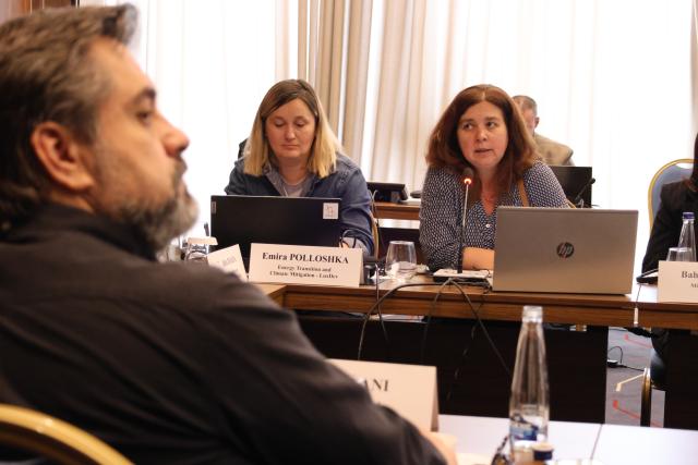 Experts discussing during workshop