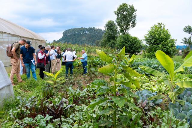 Group of people visiting a field