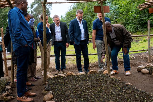 Group visiting a tree nursery