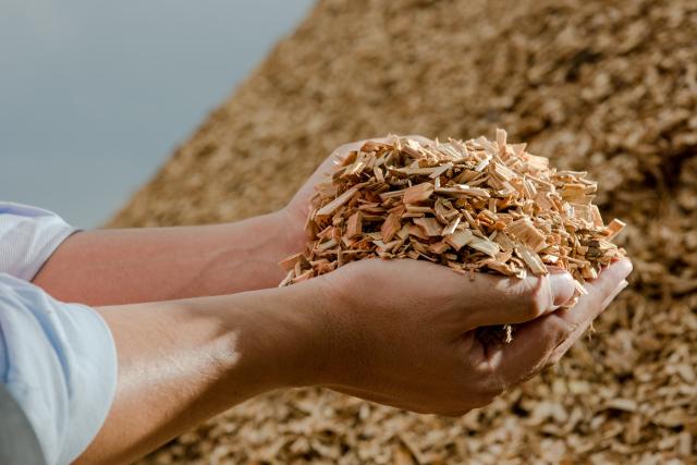 Hands in wood chips