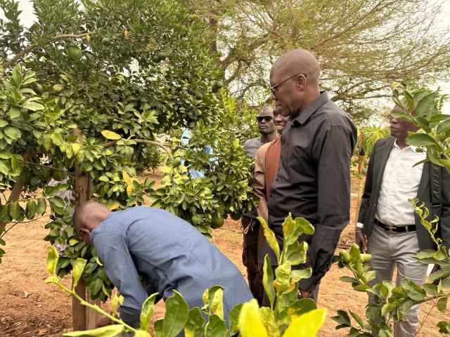 Apprenant en agri-élevage au pied d'un arbre entouré de visiteurs