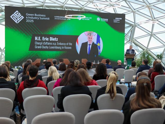 Ambassador Dietz addressing participants at the summit