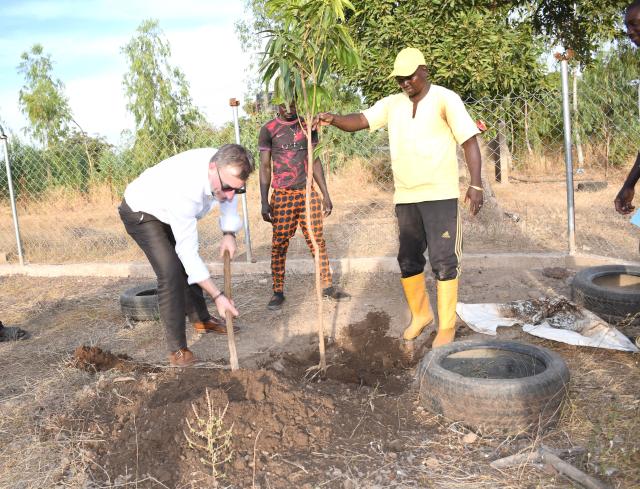 Trois hommes plantant un arbre