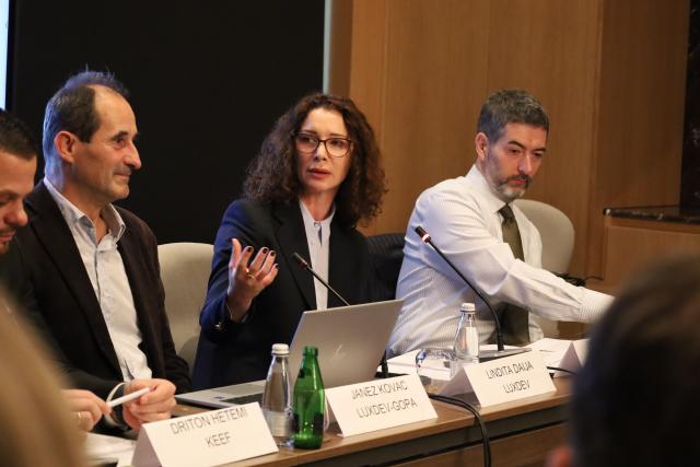 LuxDev project discussing importance of the financing mechanisms