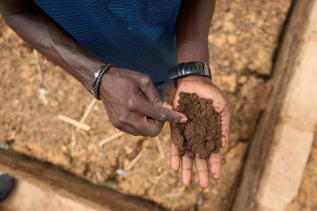 Main d'une personne contenant du fertilisant produit par biodigesteur