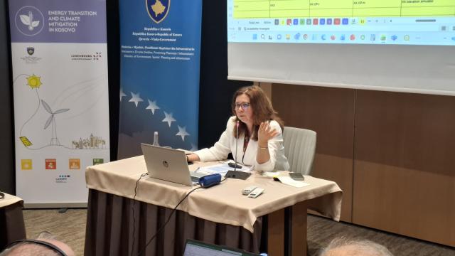 Energy expert during training of independent experts 