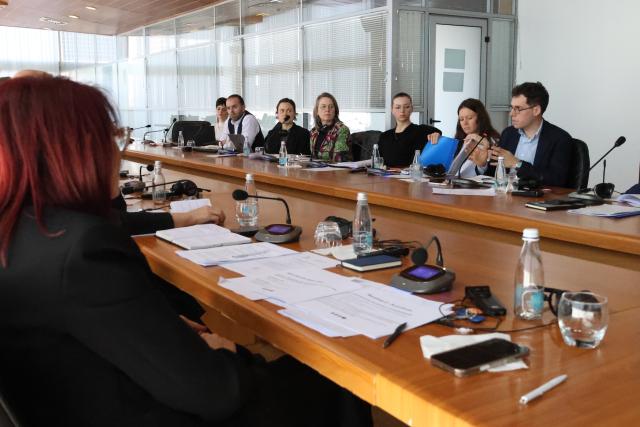 LuxDev representative speaking at the Steering Committee Meeting 