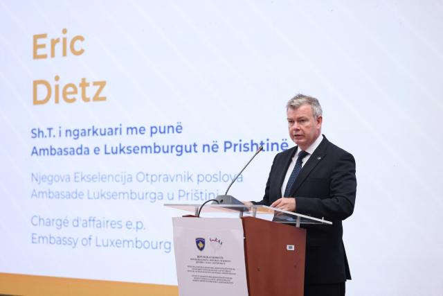 Ambassador Dietz speaks on the cybersecurity topic at the launch event
