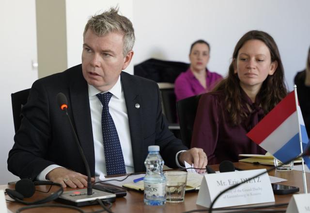 Ambassador DIETZ addressing the steering committee meeting 