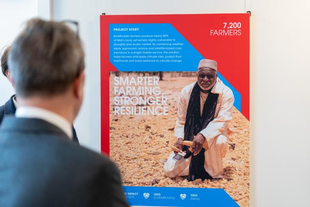 Man looking at an exhibition panel